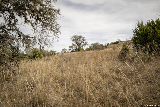 Image 16 of 16 For 100 Stieler Valley