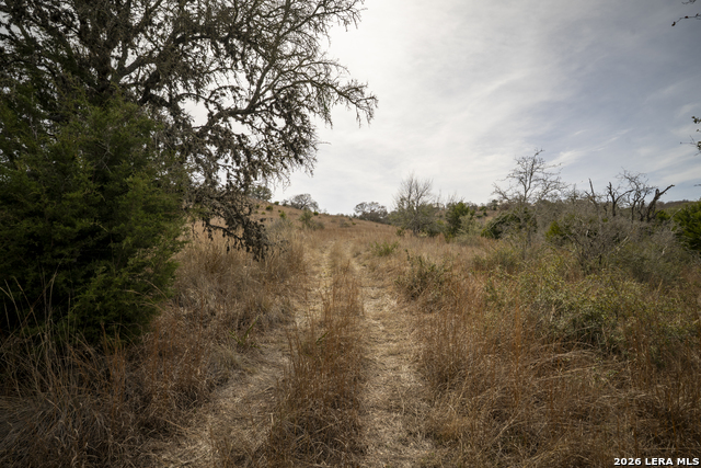 Image 2 of 16 For 100 Stieler Valley