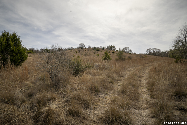 Image 8 of 16 For 100 Stieler Valley
