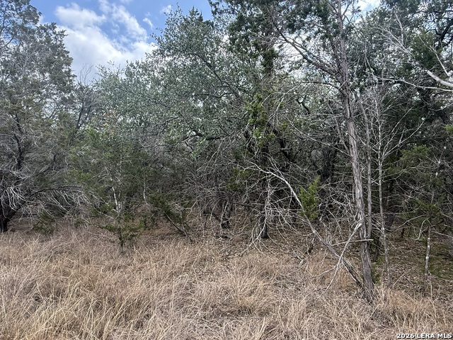 Image 10 of 22 For 1712 Demi John Bend