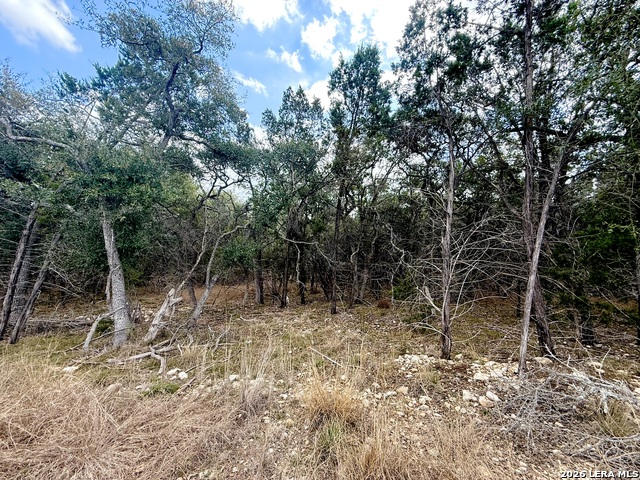 Image 9 of 22 For 1712 Demi John Bend