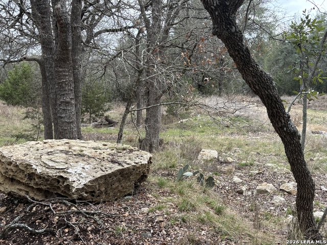 Image 21 of 33 For 30685 Rice  