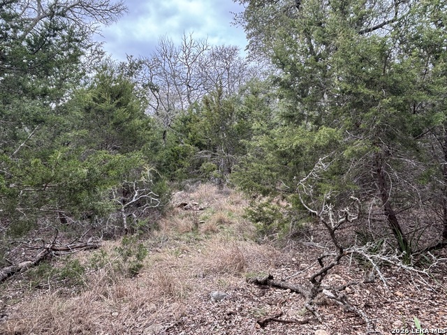 Image 22 of 33 For 30685 Rice  