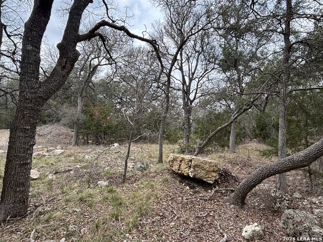 Image 25 of 33 For 30685 Rice  