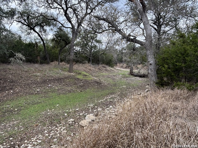 Image 27 of 33 For 30685 Rice  