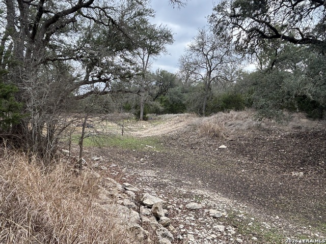 Image 29 of 33 For 30685 Rice  