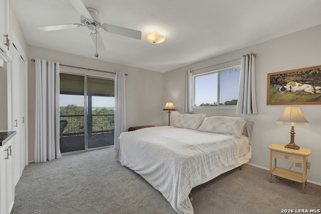 Image 16 of 50 For 1871 Patty  