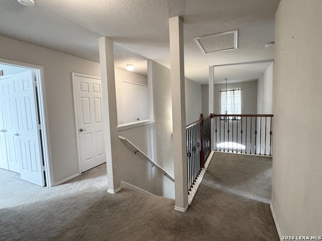 Image 19 of 36 For 404 Circle Star