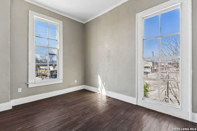 Image 62 of 93 For 339 Woodlawn Ave W