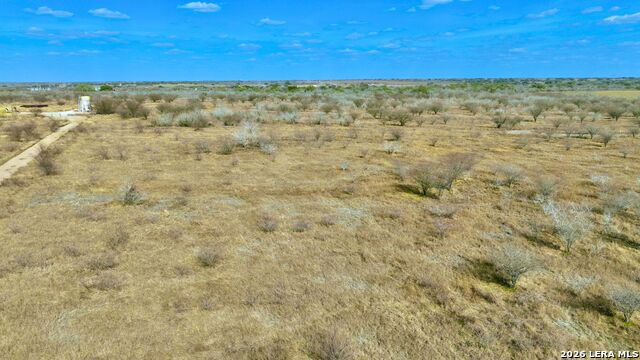 Listing photo id 4 for 114 Acres County Road 199