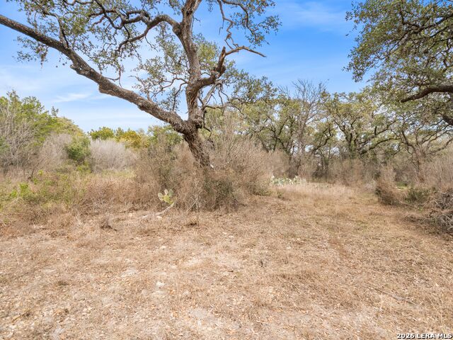 Listing photo id 52 for 14235 Blanco