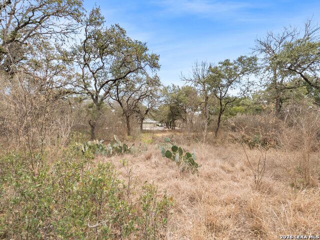 Listing photo id 53 for 14235 Blanco