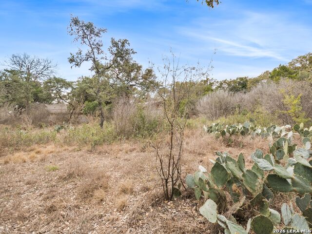 Listing photo id 54 for 14235 Blanco