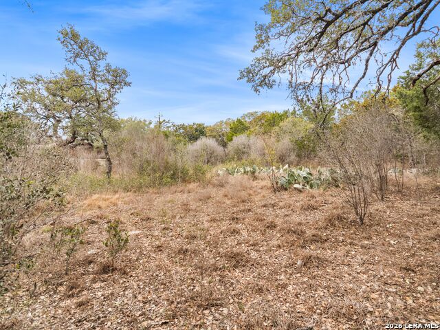 Listing photo id 55 for 14235 Blanco