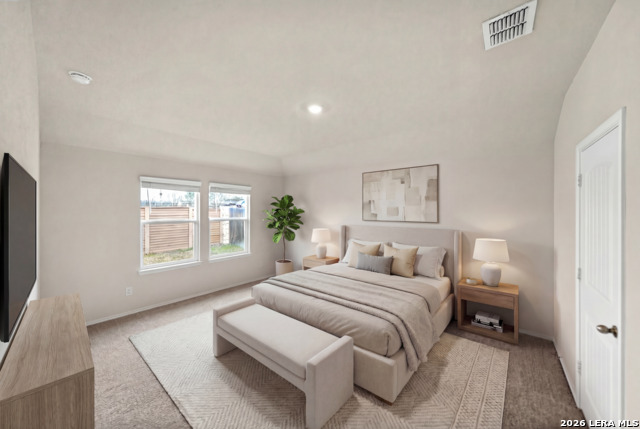 Image 16 of 44 For 917 Chachalaca