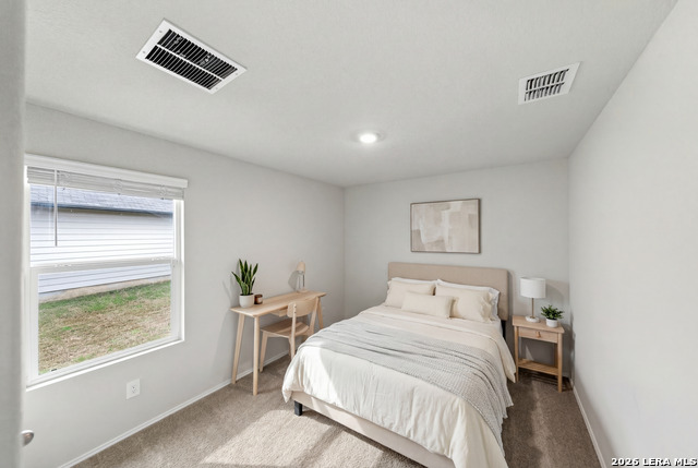 Image 28 of 44 For 917 Chachalaca