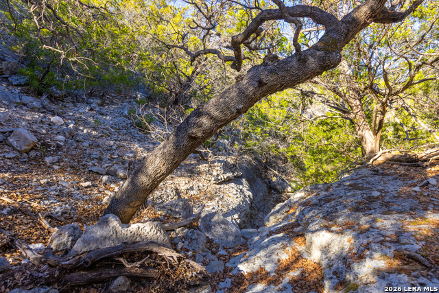 Image 25 of 50 For 1030 Owl Hollow