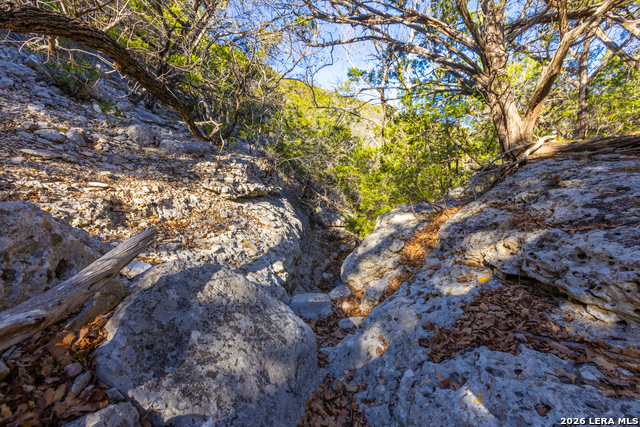 Image 26 of 50 For 1030 Owl Hollow