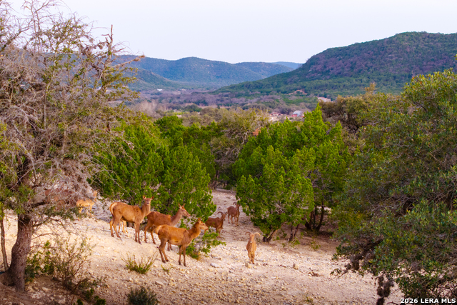 Image 48 of 50 For 1030 Owl Hollow