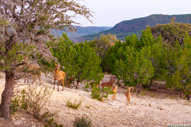 Image 49 of 50 For 1030 Owl Hollow