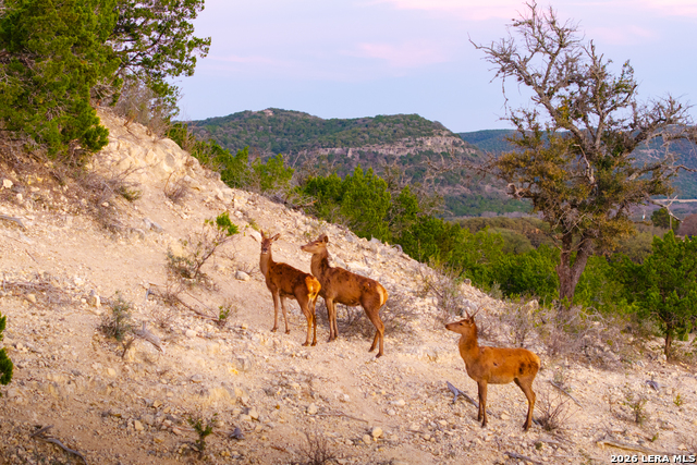 Image 50 of 50 For 1030 Owl Hollow