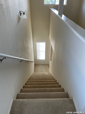 Image 12 of 21 For 25447 Longbranch Run