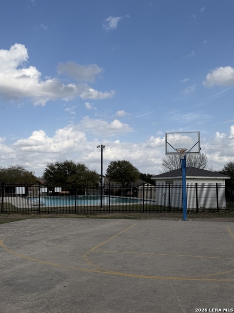 Image 8 of 30 For 8531 Snakeweed
