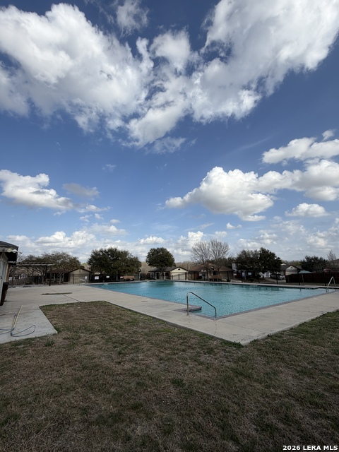 Image 9 of 30 For 8531 Snakeweed