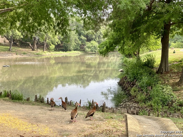 Image 37 of 41 For 11804 Mission Trace St