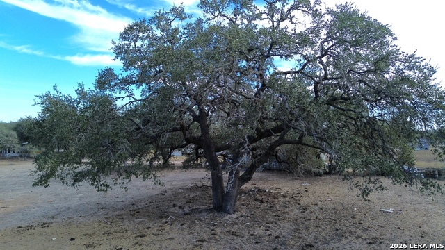 Image 6 of 9 For 775 Mobile Home