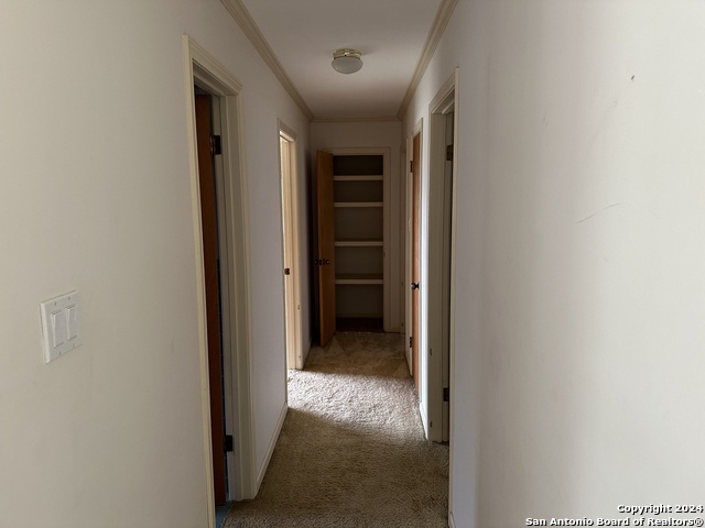 Image 20 of 43 For 135 County Road 130