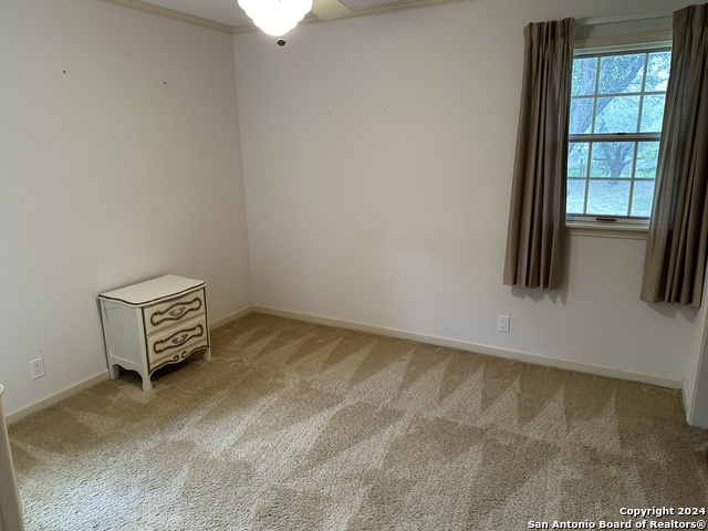 Image 24 of 43 For 135 County Road 130