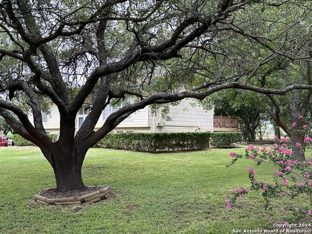 Image 31 of 43 For 135 County Road 130