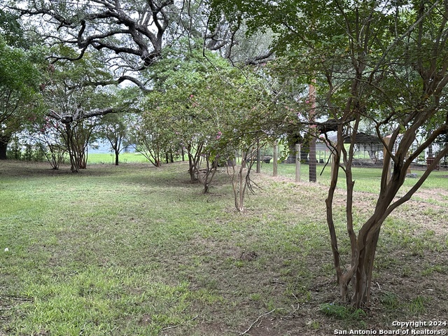 Image 33 of 43 For 135 County Road 130