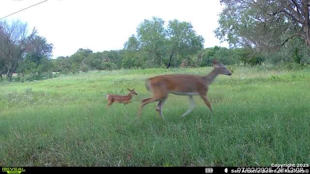 Image 28 of 36 For 3141 Zion Hill