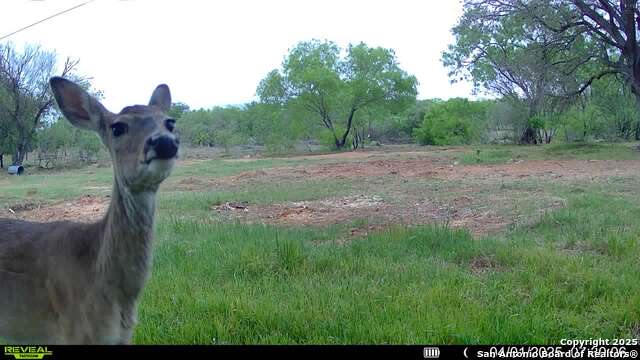 Image 29 of 36 For 3141 Zion Hill