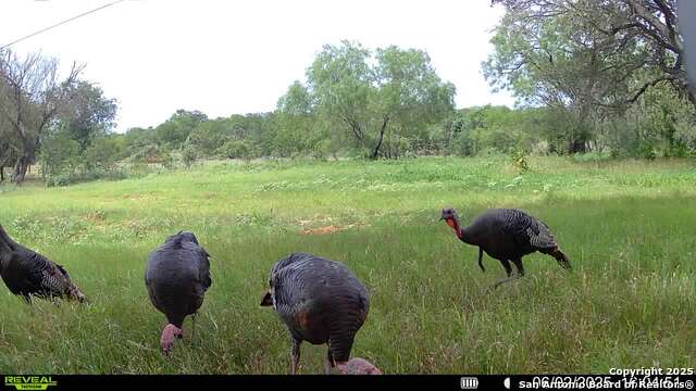 Image 30 of 36 For 3141 Zion Hill