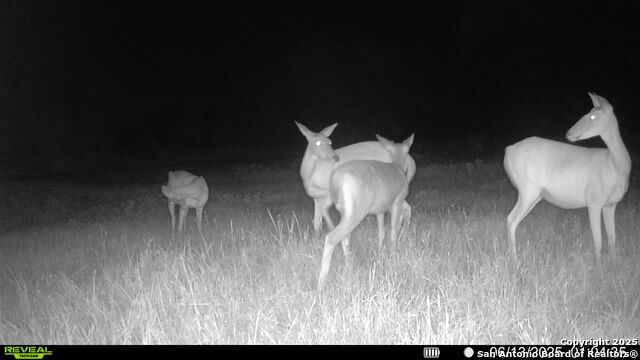 Image 31 of 36 For 3141 Zion Hill