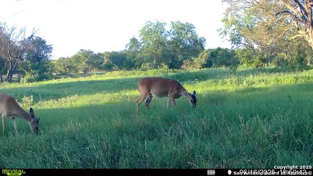 Image 32 of 36 For 3141 Zion Hill