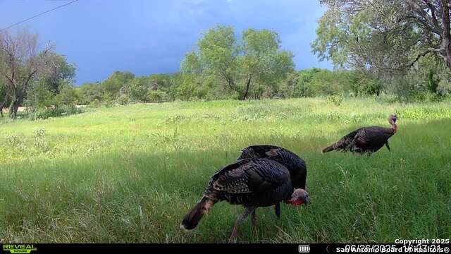 Image 33 of 36 For 3141 Zion Hill