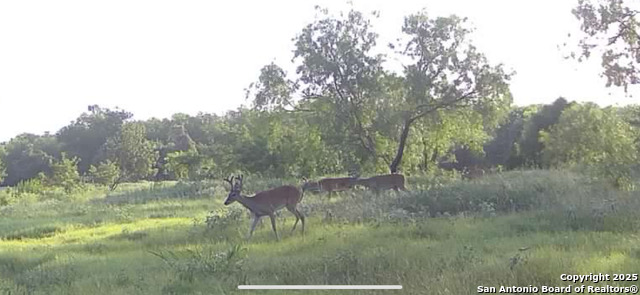 Image 34 of 36 For 3141 Zion Hill