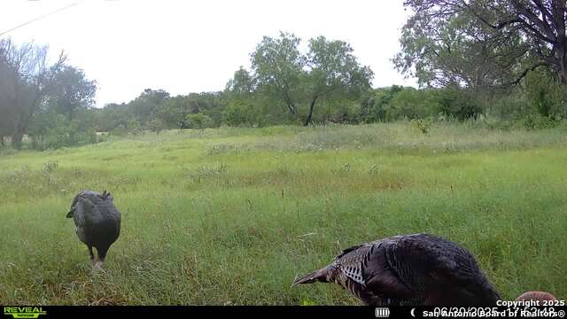 Image 35 of 36 For 3141 Zion Hill