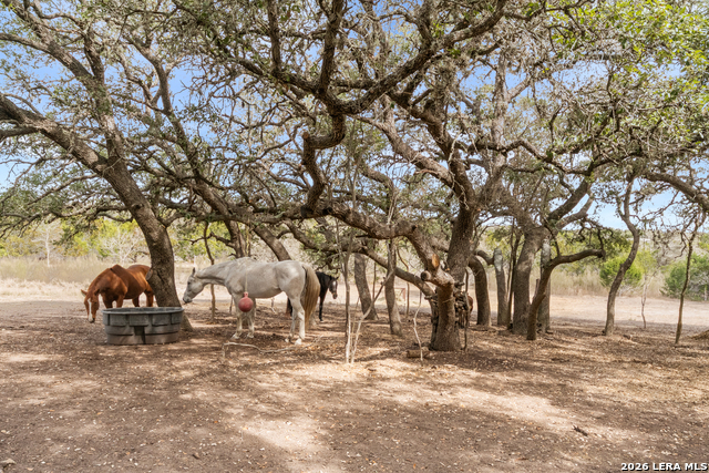 Image 50 of 71 For 585 English Hollow