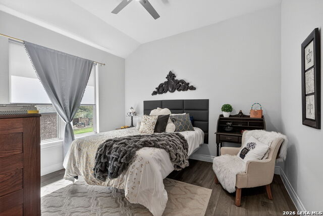 Image 29 of 47 For 31027 Charolais