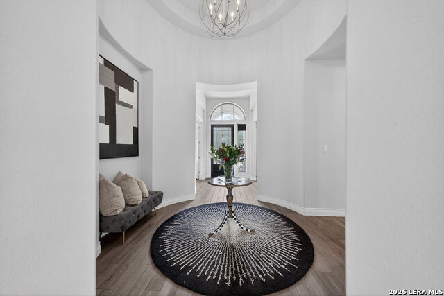 Image 5 of 47 For 31027 Charolais