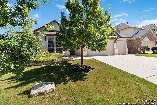 Image 5 of 48 For 8206 Claret Cup