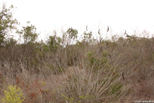 Details for Tbd County Road 573, Castroville, TX 78009