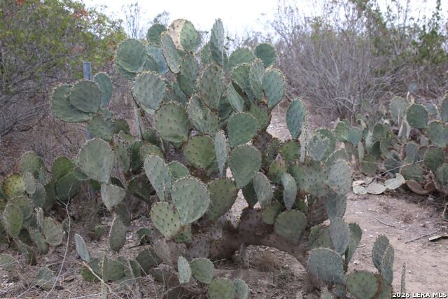 Image 2 of 20 For Tbd County Road 573