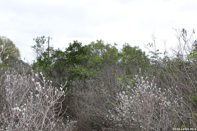 Image 4 of 20 For Tbd County Road 573