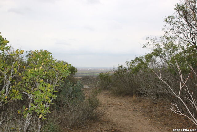 Image 5 of 20 For Tbd County Road 573